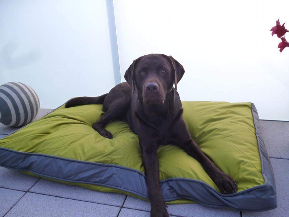 Outdoor-Hundekissen 120 x 80 cm, wasserdicht und robust, grün Outdoor-Hundekissen 120 x 80 cm, wasserdicht und robust, grün