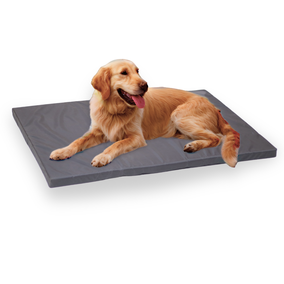 Hundekissen Hundedecke titel Hundekissen für Indoor und Outdoor. Robust und zuverlässig. Das perfekte Hundebett. Titelbild