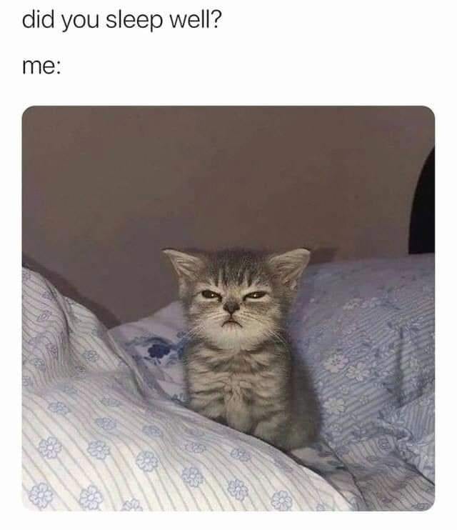 Kleine Mietzekatze "Mietzi" grau, Kurzhaar